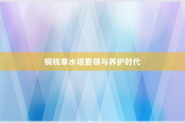 铜钱草水培要领与养护时代